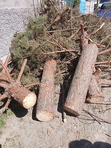 леса бу: Поддон Для деревообработки, Б/у, В наличии — 6