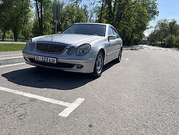 210 дерево: Mercedes-Benz E-Class: 2002 г., 5 л, Автомат, Бензин, Седан — 6