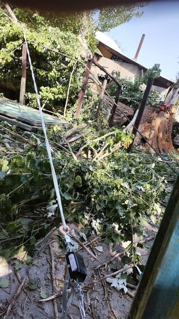 построить дом под ключ цена: Тал, Бак, Жаңгак акацса Дуб Орехи терек карагач Отун кылып даярдап — 4