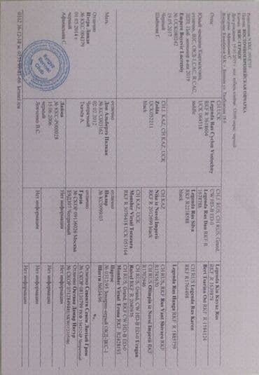 алабай шенок: Ит кууту: Чыгыш Европа овчаркасы, Эркек, 5 жаш — 3