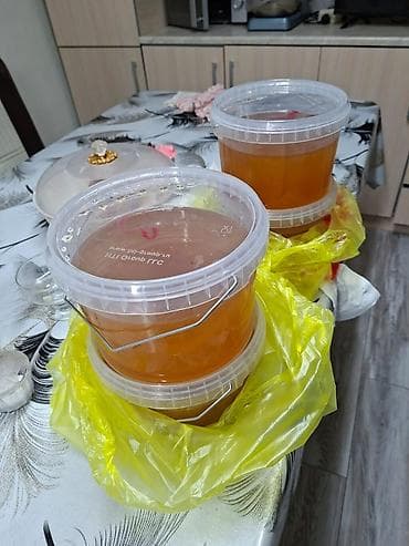 Натуральный барбарисовый мёд в ведёрках 3 кг - Продукт: жидкий мёд at lalafo.kg Натуральный барбарисовый мёд в ведёрках 3 кг - Продукт: жидкий мёд
