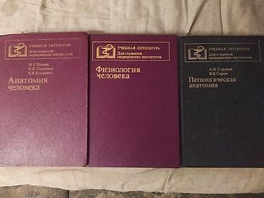 Учебники: Подборка книг: Художественная литература: - «Оно. Часть 1. Тень — 2