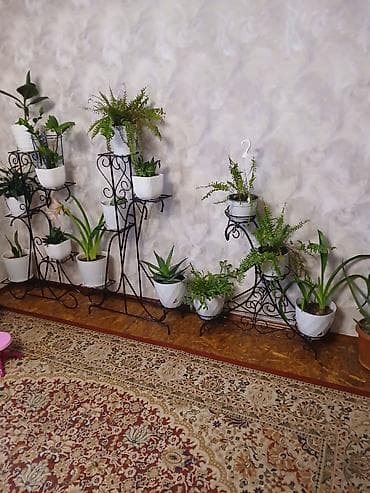 999 полки: Полка, этажерка для цветов, Железо — 1