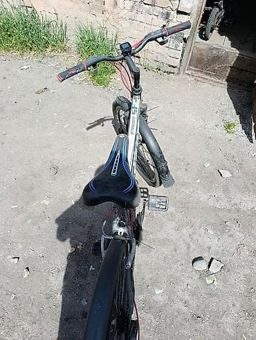 single speed: Городской велосипед, Lespo, Рама M (156 - 178 см), Б/у — 2