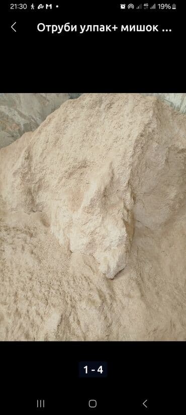 корм фарели: Отруби 19.50тыйын 3в1жем 23сом ячмень кукуруза пшеница 2в1 кукуруза — 2