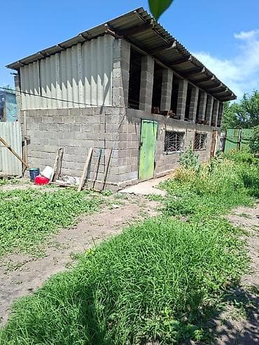 бакай ата ж м: Продаётся дом. г Кара Балта ул чапаева 2 а. В пешей доступности школа — 7