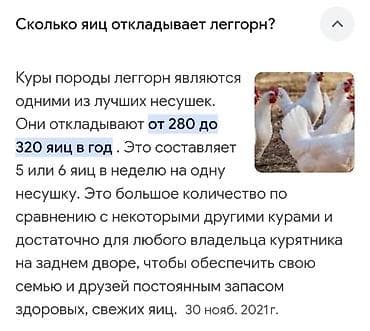 хара: Сатам | Балапандар | Леггорн | Жумуртка туудуруу үчүн — 2
