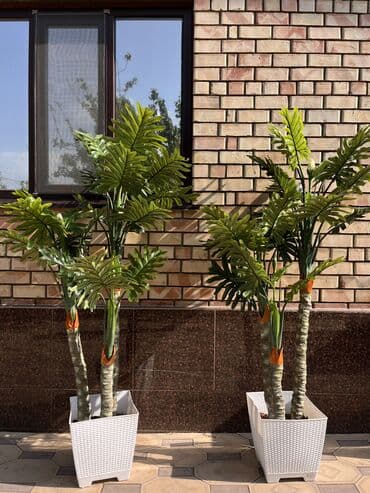 шкаф для одежды новый: 🌿 Мы — Mayram Decor KG, ваш надежный партнёр в создании эффектных и — 29