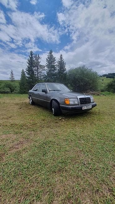 volkswagen t4 multivan: Mercedes-Benz W124: 1990 г., 2.3 л, Механика, Газ, Седан — 10