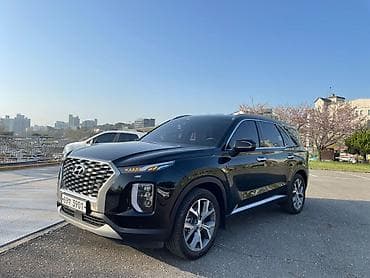 4wd: Hyundai Palisade: 2019 г., 2.2 л, Автомат, Дизель, Кроссовер — 7