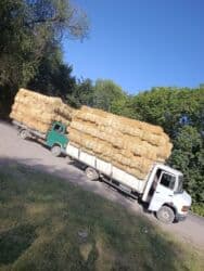 продажа щенков немецкой овчарки с документами в бишкеке: Саман туктор плотный чоон чоон метровый таза аппак. с доставкой выше — 7