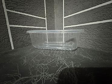 bubble tea: Пищевой контейнер — 1