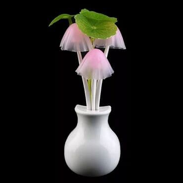 прожектор светодиодный с датчиком движения: Лампа Кичине түнкү чырак, Жаңы — 1