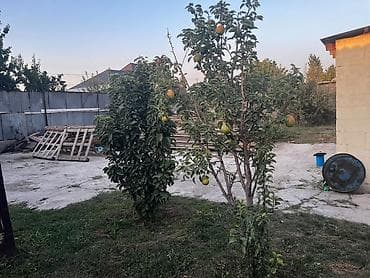 т цум: Продаю дом с магазином угловой участок участок Размером 7 соток все — 9