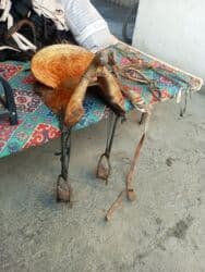 Рыбы: Срочно — 8