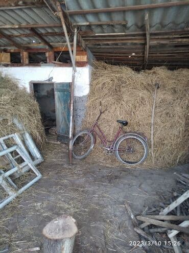 куплю дом в районе ак орго: Дом, 3600 м², 4 комнаты — 10