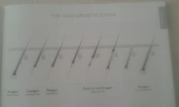 визажное кресло: Продаю Новый лазерный портативный аппарат- RIO Salon lazer для — 5