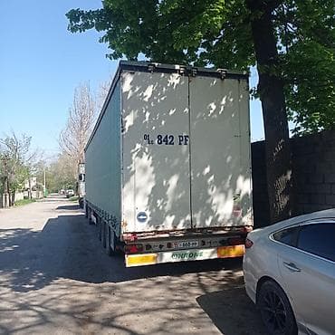 daf 480: Тягач, Renault, 2008 г., Тентованный — 3