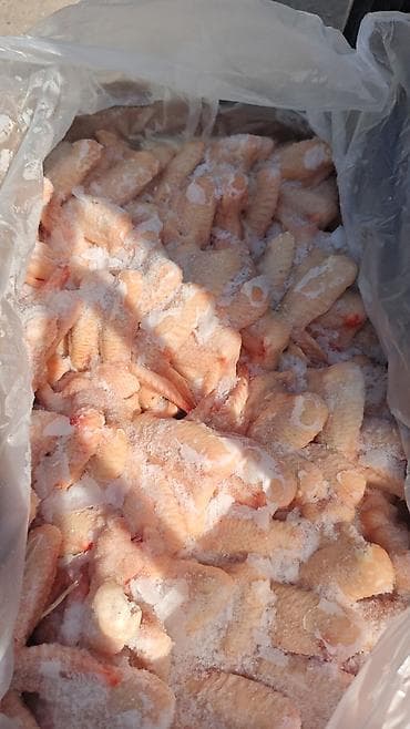 6 месяцев: Крыло цыплёнка-бройлера, халяль, глубокой заморозки. - Производитель — 1