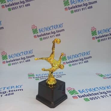 монеты разных стран: ✅ Статуэтки по футболу ✅ Оптом и в розницу ✅Бесплатный дизайн — 1