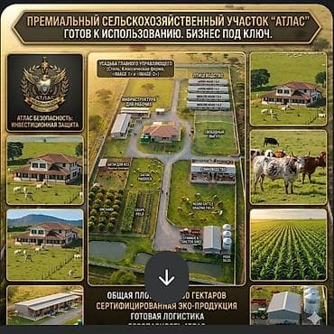 Жер тилкелери: 96 соток, Айыл чарба үчүн, Үлүштүк катыш келишими — 4