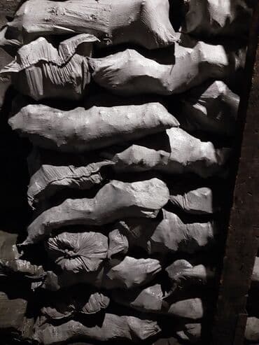 кой кыркыч: Уголь Сулюкта — 3