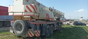 Строительное оборудование: Автокран, Zoomlion, 2010 г., от 30 м — 3