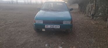 запчасти на опель вектра с: Fiat Punto: 1992 г., 1.1 л, Механика, Бензиновая, Хэтчбэк — 6