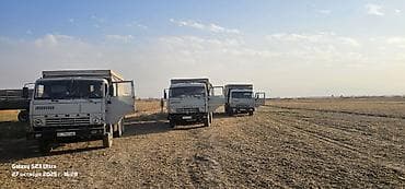 навоз заказать: Услуга по сокулукскому району Самосвалы КАМАЗ для строительных и — 5