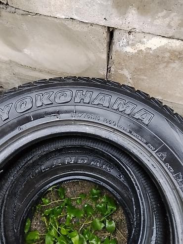 срв 2007: Шины 215 / 70 / R 16, Всесезонная, Комплект, Внедорожные (АТ/МТ), Nexen — 3