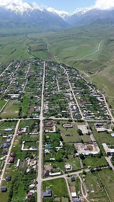 Земельные участки: 20 соток, Красная книга — 4