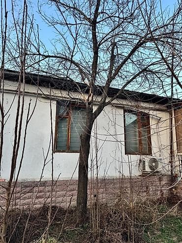 центр дрова: Отдам бесплатно сухие деревья на дрова (самостоятельный спил и — 3