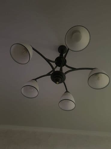 купить золотые серьги с жемчугом: Люстра — 2