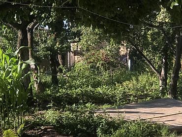 Дома: Продаю дачу в Чолпон-Ата. 6 соток,красная книга.На участке имеется — 5