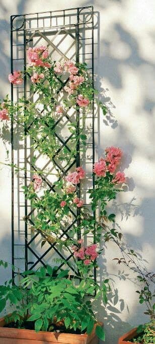 Дрова: Предлагаем настенные опоры для вьющихся растений! Изготовленны из — 2