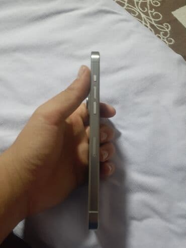 встраиваемая бытовая техника для кухни: IPhone 15 Pro Max, Natural Titanium, 100 % — 5