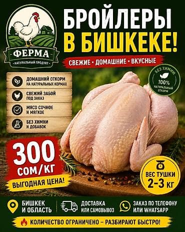 ковры бишкек: Бройлеры в Бишкеке — свежие, домашние, вкусные. - Домашний откорм на — 1