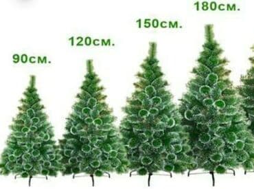 семена эспарцета цена: Новогодние ёлки — 2