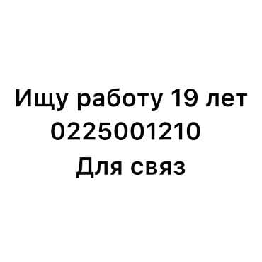 Услуга: соискатель на работу (19 лет) Кандидат ищет работу. Готов