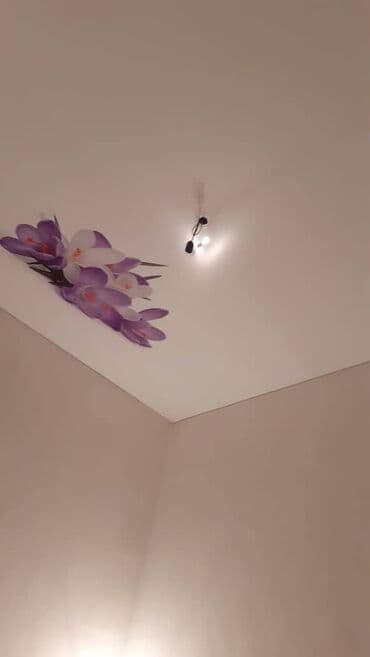 каркасный дом цена за м2: Натяжной потолок 3D потолки, Глянцевое, Матовое Гарантия, Монтаж, Бесплатный замер — 9