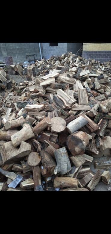 отун дрова сатылат: Отун — 5