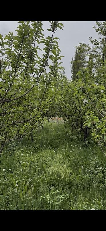 Кыймылсыз мүлк: 7 соток, Курулуш, Кызыл китеп — 6