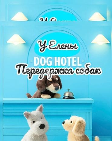 Передержка (гостиница) для собак. ☎️ . В отпуск без собаки! Платная