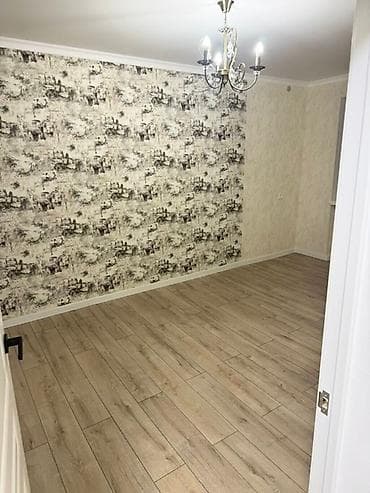 1000: 2 комнаты, 46 м², Индивидуалка, 1 этаж, Евроремонт — 4
