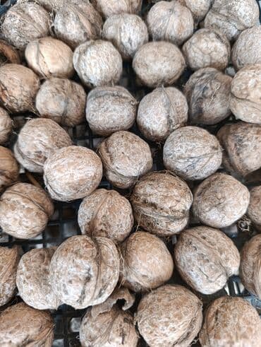 орешка: Продаю грецкие орехи . Вкусные . урожай 2025 г. в наличии почти 4 — 4