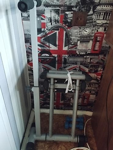 Тренажёр для пресса и бедер TechPoint (вертикальный