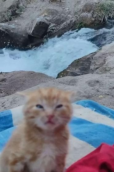 жумуш издейм официант: Ищу работу( подработка),официанткой,консультант. Желательно с — 1