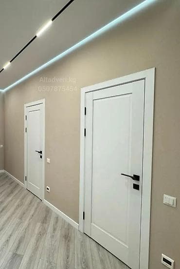 Петли, шарниры для дверей: Межкомнатная дверь, Новый, Со стеклом, Двухстворчатая, Стеклянная, Распашная, Лофт, цвет - Белый — 2