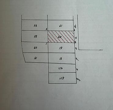ысык куле: 4 соток, Курулуш, Кызыл китеп — 3