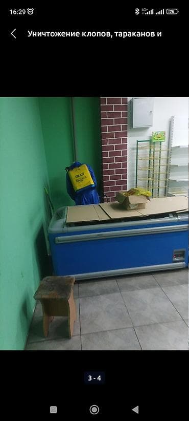 Стирка ковров: Дезинфекция, дезинсекция, | Клопы, Блохи, Тараканы, | Офисы, Квартиры, Дома — 2